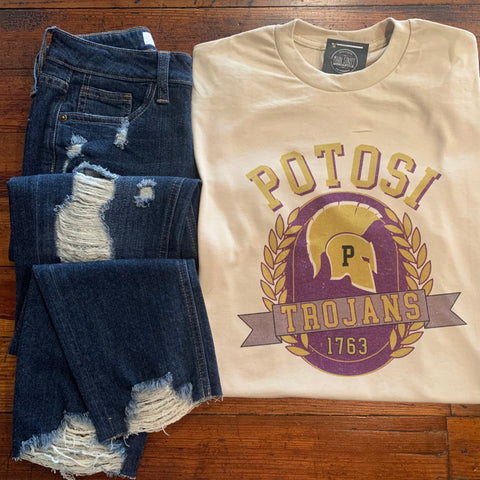 Vintage Potosi Graphic Top